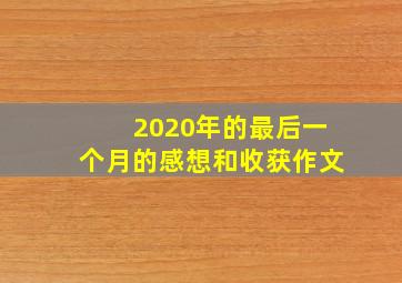 2020年的最后一个月的感想和收获作文