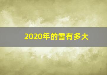 2020年的雪有多大