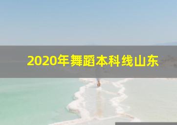 2020年舞蹈本科线山东