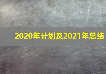 2020年计划及2021年总结