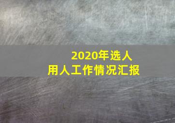 2020年选人用人工作情况汇报