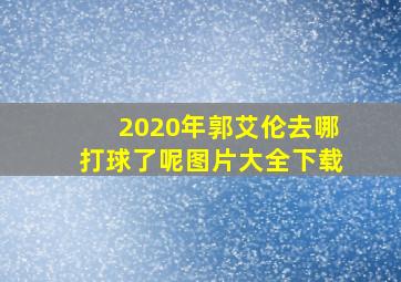 2020年郭艾伦去哪打球了呢图片大全下载