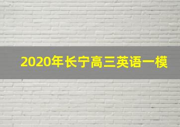 2020年长宁高三英语一模