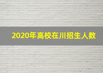 2020年高校在川招生人数