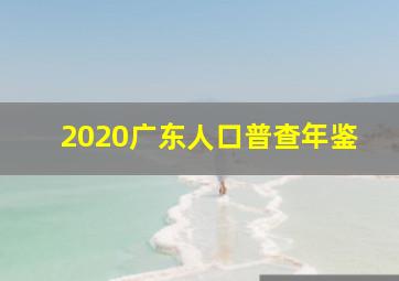 2020广东人口普查年鉴