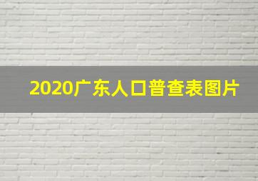 2020广东人口普查表图片