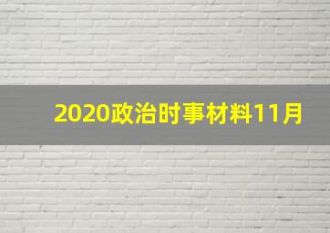 2020政治时事材料11月