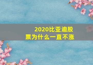 2020比亚迪股票为什么一直不涨