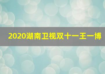 2020湖南卫视双十一王一博