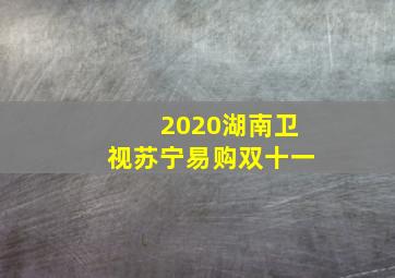 2020湖南卫视苏宁易购双十一