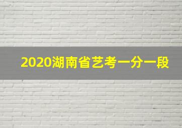 2020湖南省艺考一分一段