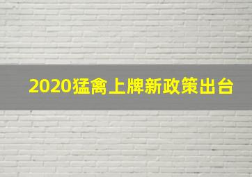 2020猛禽上牌新政策出台