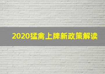 2020猛禽上牌新政策解读