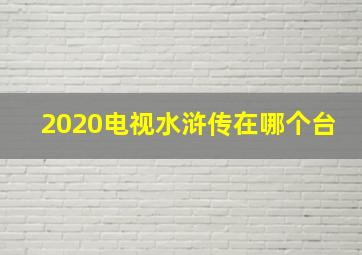 2020电视水浒传在哪个台