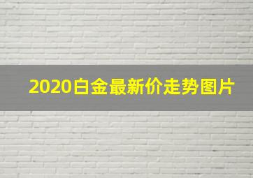 2020白金最新价走势图片