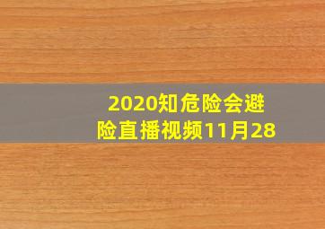 2020知危险会避险直播视频11月28