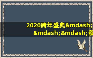 2020跨年盛典———蔡依林