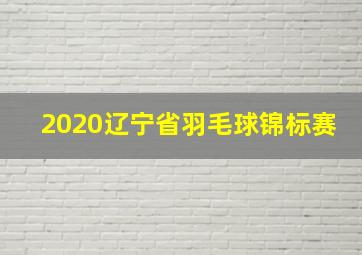 2020辽宁省羽毛球锦标赛