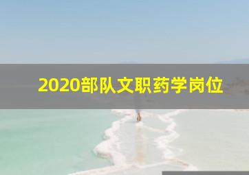 2020部队文职药学岗位