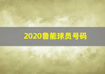 2020鲁能球员号码