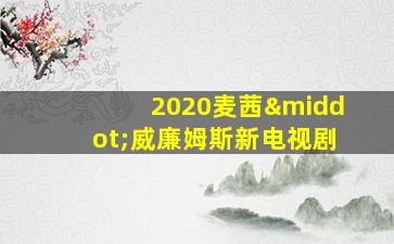 2020麦茜·威廉姆斯新电视剧