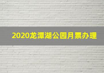 2020龙潭湖公园月票办理