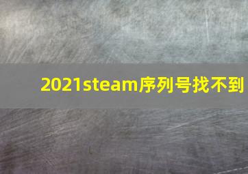 2021steam序列号找不到