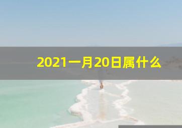 2021一月20日属什么