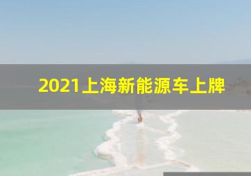 2021上海新能源车上牌