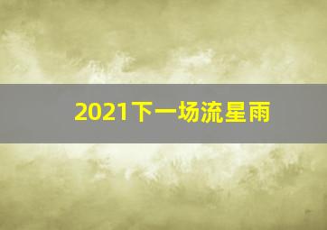 2021下一场流星雨