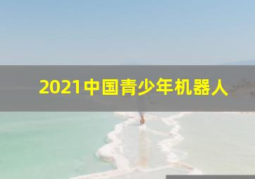 2021中国青少年机器人