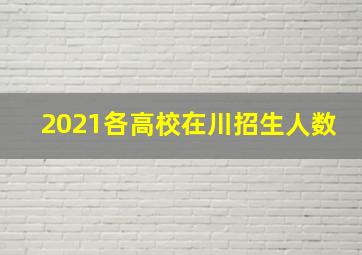 2021各高校在川招生人数