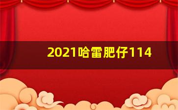 2021哈雷肥仔114