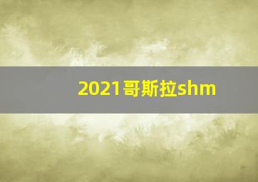 2021哥斯拉shm