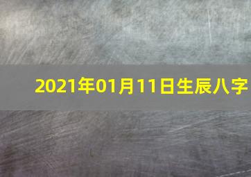 2021年01月11日生辰八字