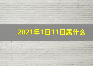 2021年1日11日属什么