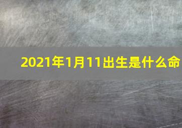 2021年1月11出生是什么命