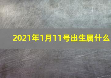 2021年1月11号出生属什么