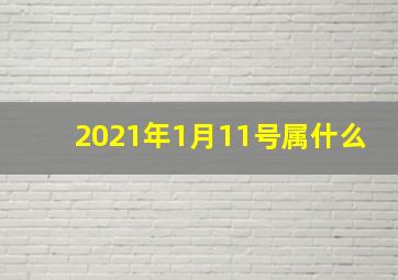 2021年1月11号属什么