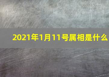 2021年1月11号属相是什么