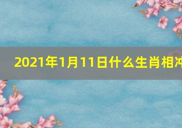 2021年1月11日什么生肖相冲