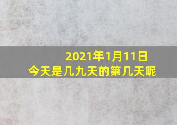 2021年1月11日今天是几九天的第几天呢