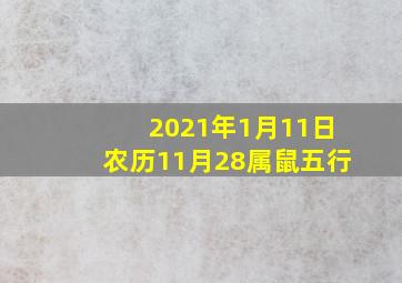 2021年1月11日农历11月28属鼠五行