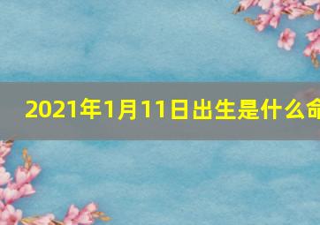 2021年1月11日出生是什么命