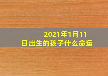 2021年1月11日出生的孩子什么命运