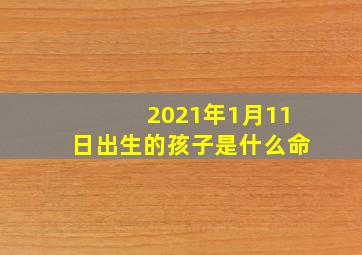 2021年1月11日出生的孩子是什么命