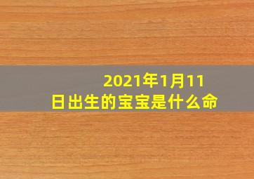 2021年1月11日出生的宝宝是什么命