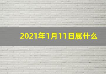 2021年1月11日属什么