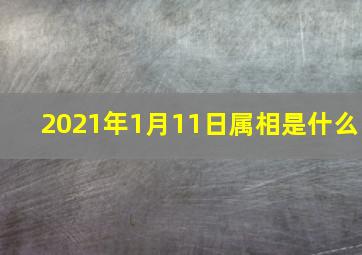 2021年1月11日属相是什么