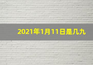 2021年1月11日是几九